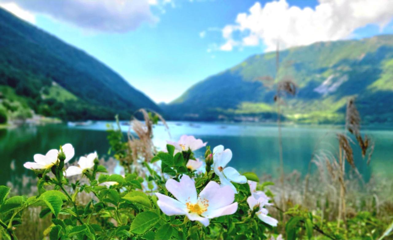 Emozioni Al Lago Farra d'Alpago Extérieur photo